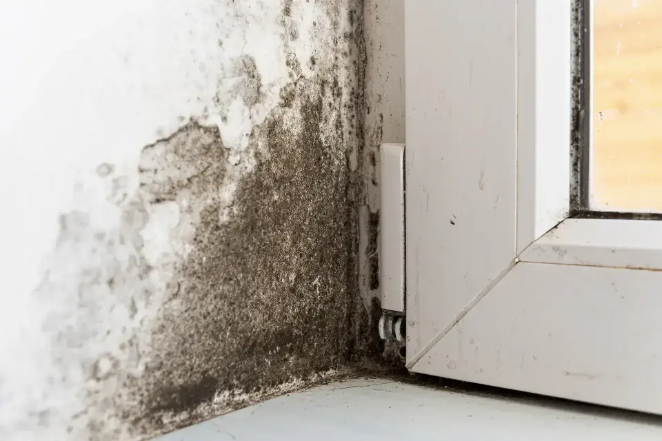 Restoring Your Peace Of Mind After Sudden Flooding — Miami Springs, FL