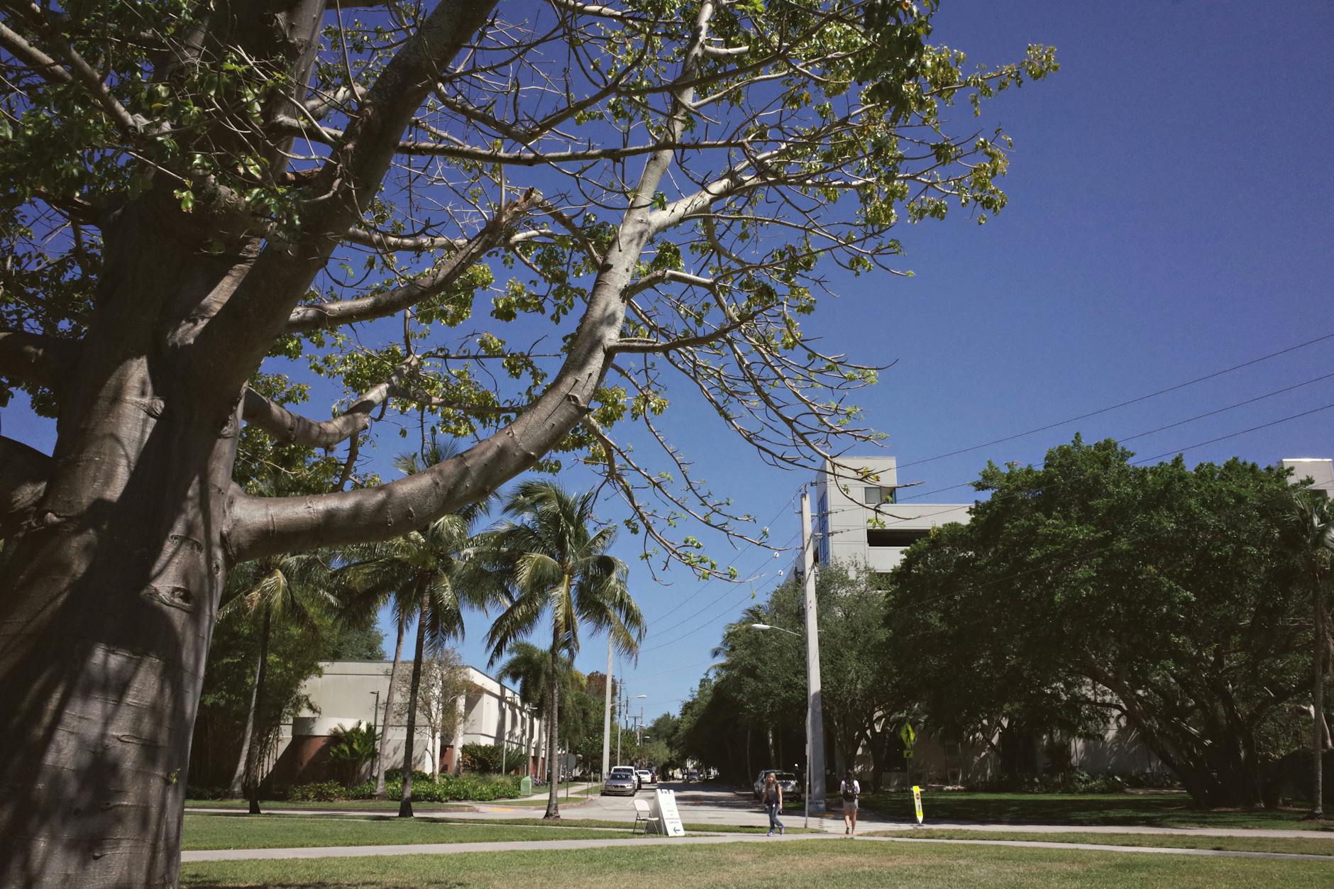 The historic Coral Gables City Hall building featuring classic Mediterranean Revival architecture and a prominent bell tower.